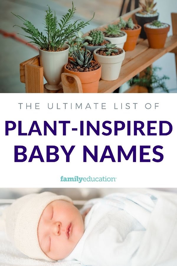 75 Plant Inspired Names Gone App   Plant Inspired Baby Names Pinterest 